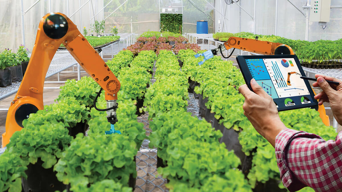 Tarım Sektöründe Dijital Görünürlük